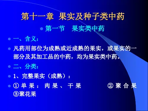 果实及种子类中药