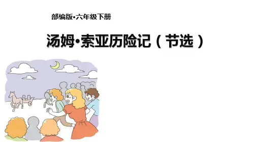 部编版六年级语文下册《汤姆·索亚历险记》PPT课文课件