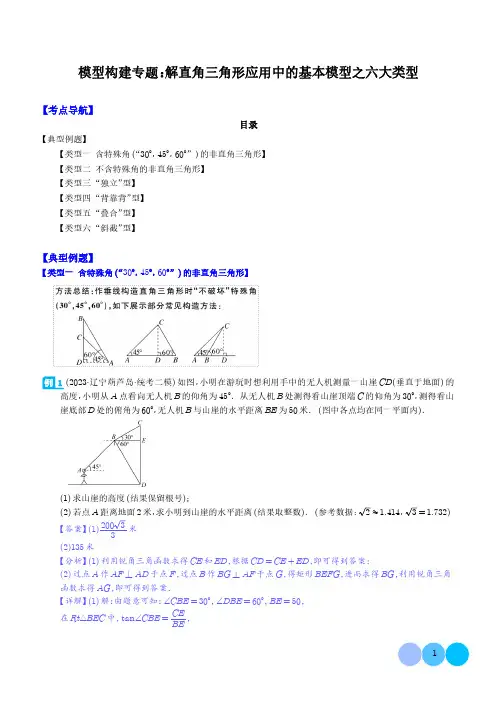 模型构建专题：解直角三角形应用中的基本模型之六大类型(解析版)