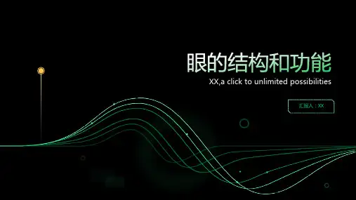 眼的结构和功能
