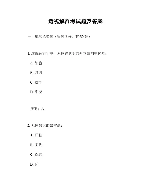 透视解剖考试题及答案