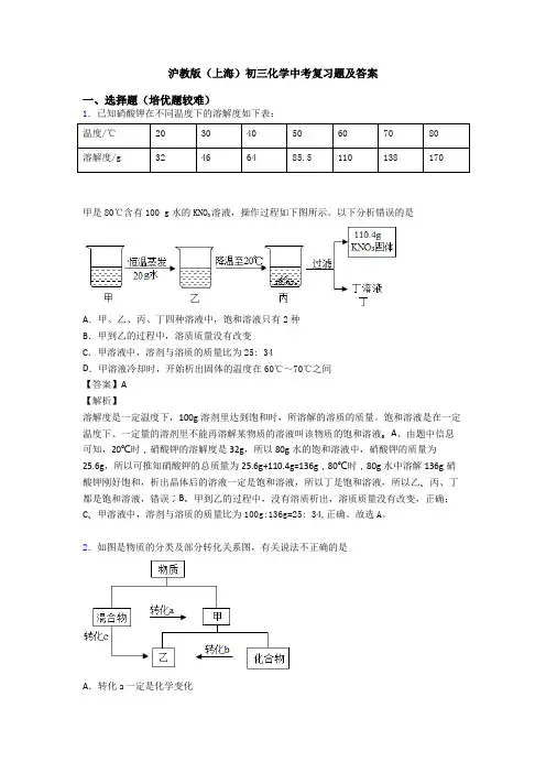 沪教版(上海)初三化学中考复习题及答案