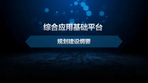 综合应用基础平台建设规划纲要20160701