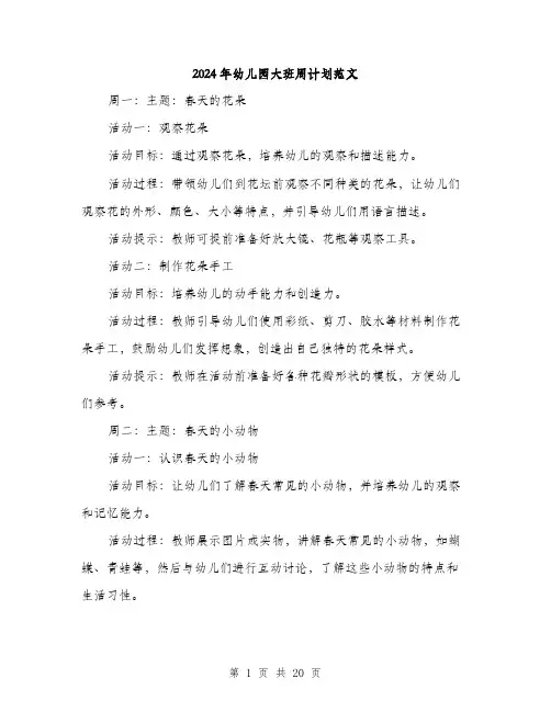 2024年幼儿园大班周计划范文（五篇）