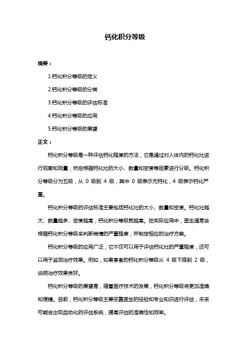钙化积分等级