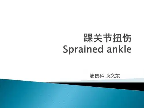 踝关节
