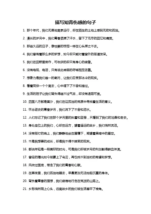 描写知青伤感的句子