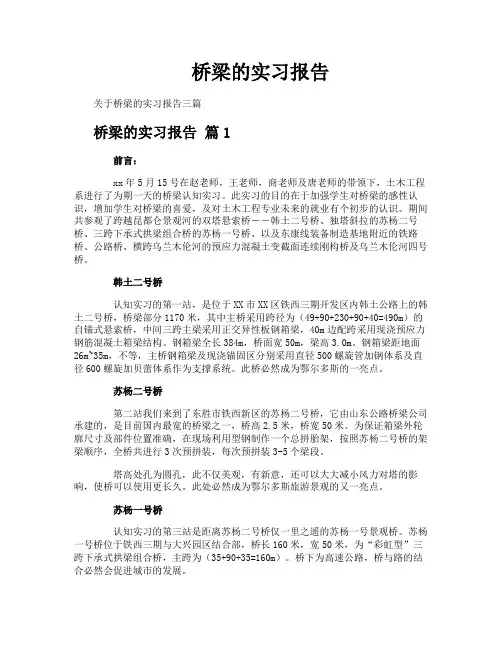 桥梁的实习报告