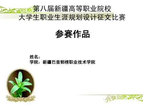 职业生涯规划 优秀学生作品