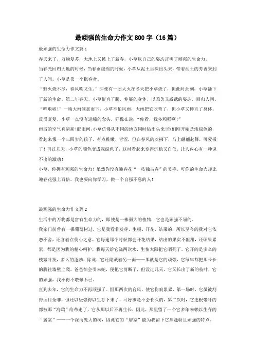 最顽强的生命力作文800字(16篇)