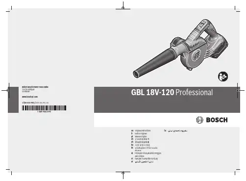 博世 GBL 18V-120 Professional 无线电钻   起子   冲击起子 操作手册说