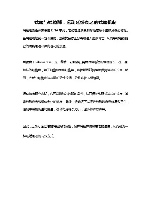 端粒与端粒酶：运动延缓衰老的端粒机制