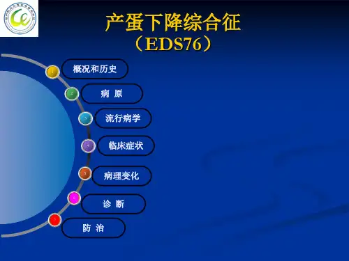 第十二节减蛋综合征(EDS76)