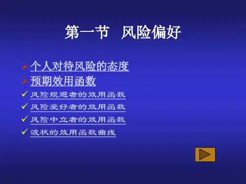 经济学风险与资产选择