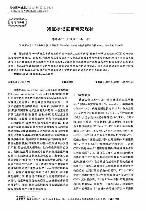 猪瘟标记疫苗研究现状