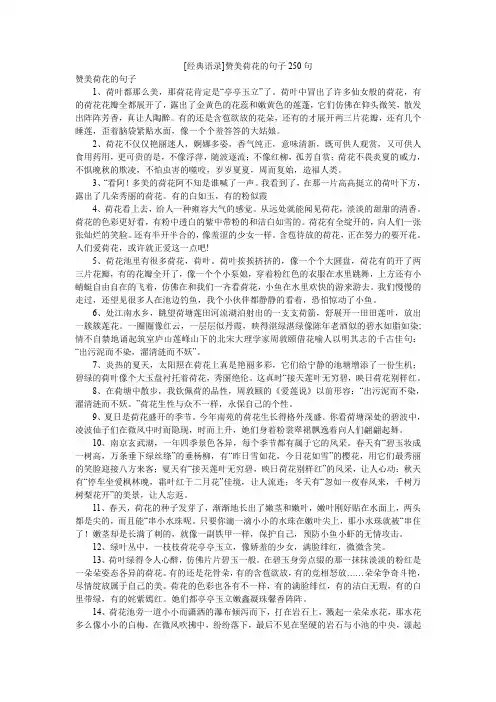 [经典语录]赞美荷花的句子250句