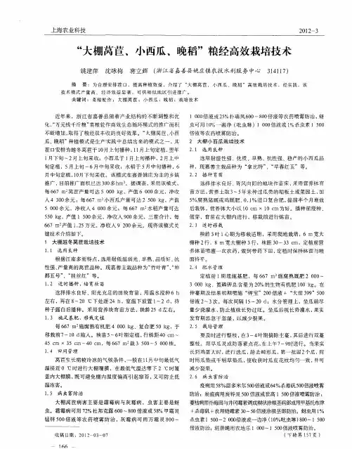 “大棚莴苣、小西瓜、晚稻”粮经高效栽培技术