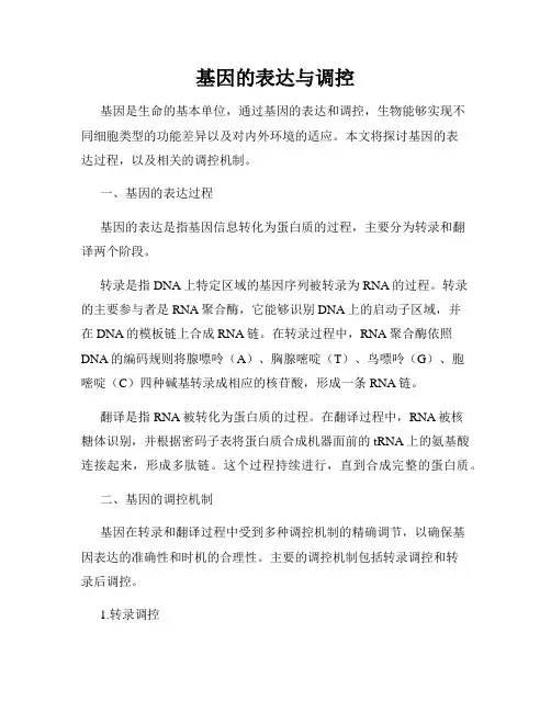 基因的表达与调控
