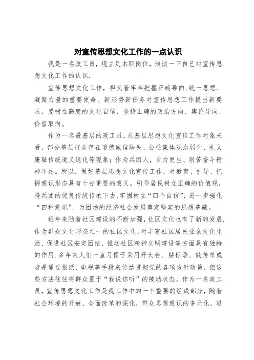 对宣传思想文化工作的一点认识