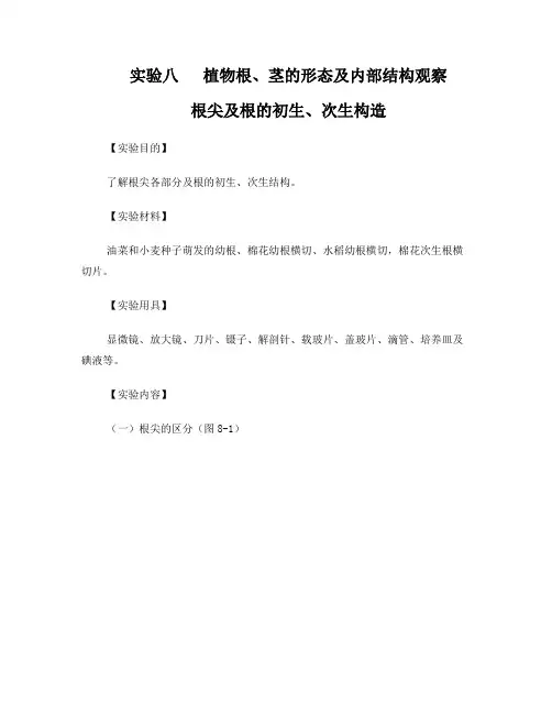 实验八 植物根茎的形态及内部结构观察