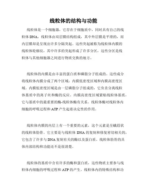 线粒体的结构与功能