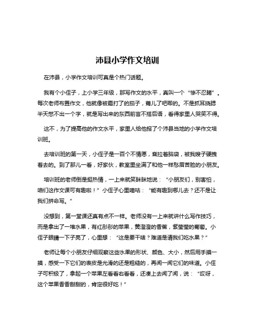 沛县小学作文培训