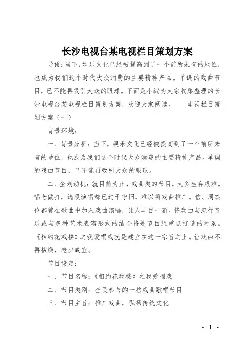 长沙电视台某电视栏目策划方案