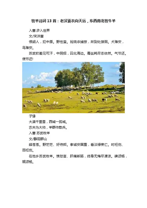 牧羊诗词13首：老汉蓑衣向天远，东西南北牧牛羊