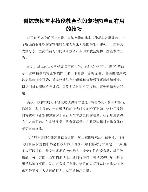 训练宠物基本技能教会你的宠物简单而有用的技巧