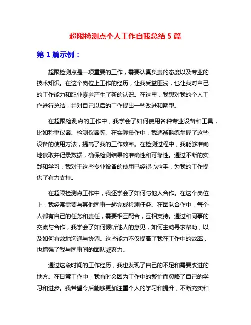 超限检测点个人工作自我总结5篇