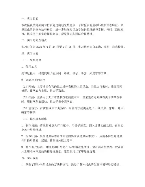 昆虫学野外实习报告