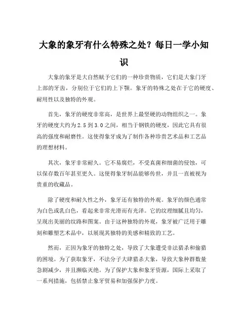 大象的象牙有什么特殊之处？每日一学小知识