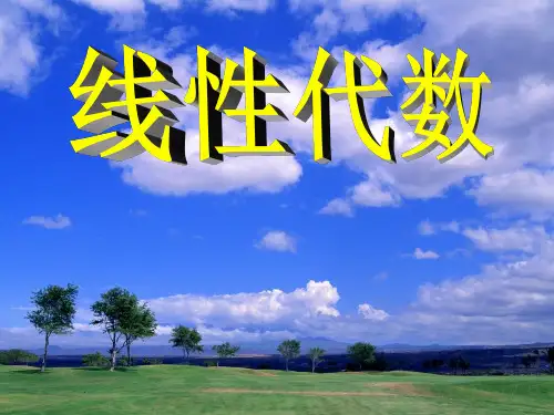 赵树嫄-《线性代数(第五版)》第一章 行列式