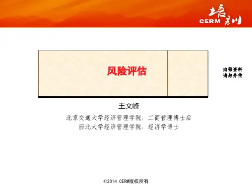 王文峰 风险评估(上)