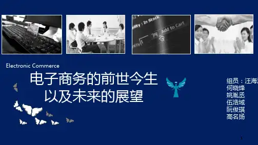 电子商务的前世今生以及未来的展望PPT课件