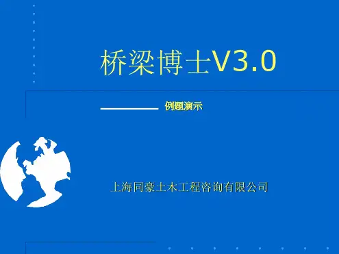 桥梁博士各种桥梁结构模型例题