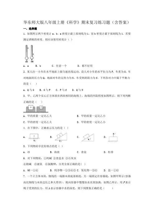 华东师大版八年级上册《科学》期末复习练习题(含答案)