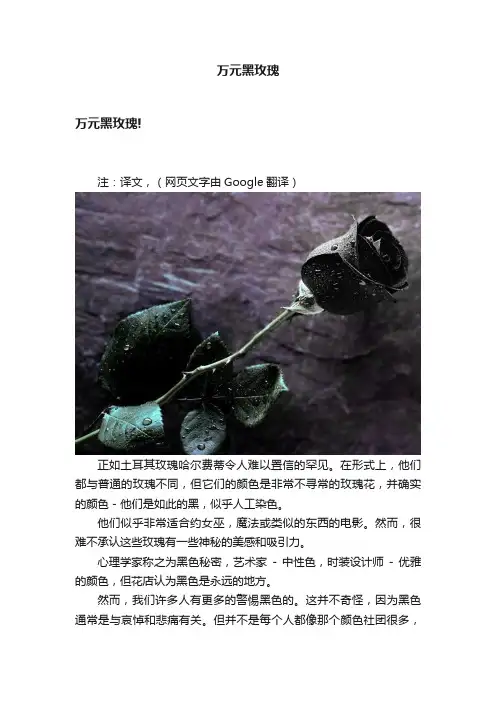 万元黑玫瑰