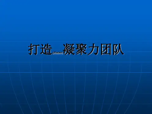打造凝聚力团队张龙洋(PPT)