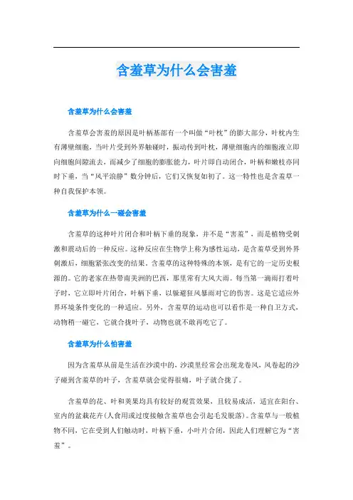含羞草为什么会害羞