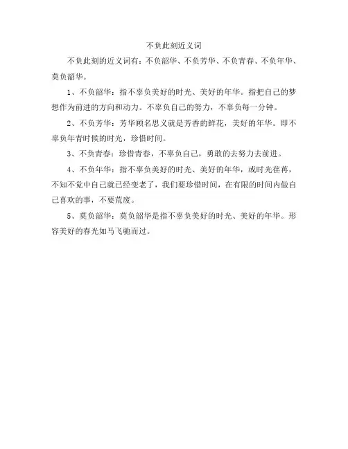 不负此刻 近义词