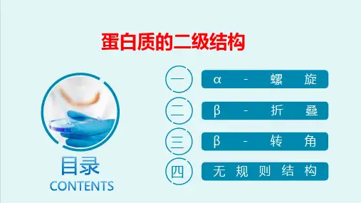 蛋白质—蛋白质的分子结构(生物化学课件)