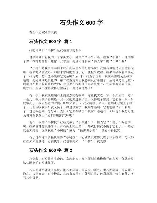 石头作文600字