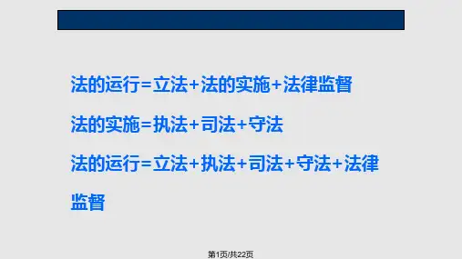 法理学—法的运行PPT课件
