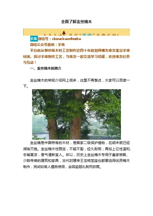 全面了解金丝楠木