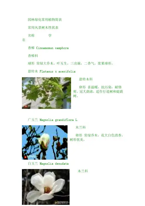园林绿化常用植物简表