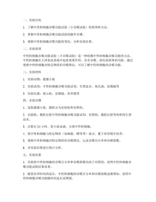 小吞噬试验_实验报告