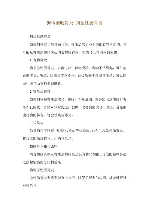 狗传染肠胃炎-狗急性肠胃炎