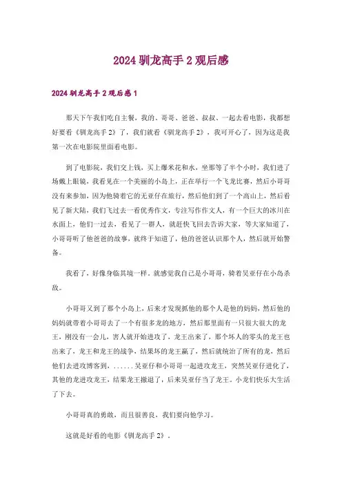 2024年驯龙高手2观后感