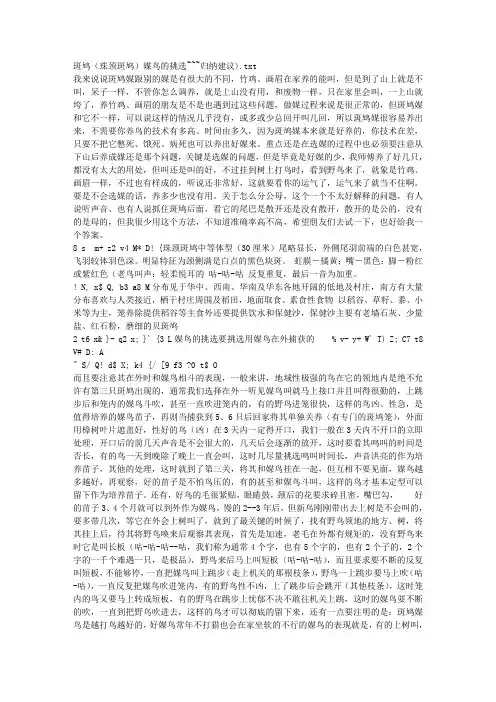 斑鸠(珠颈斑鸠)媒鸟的挑选